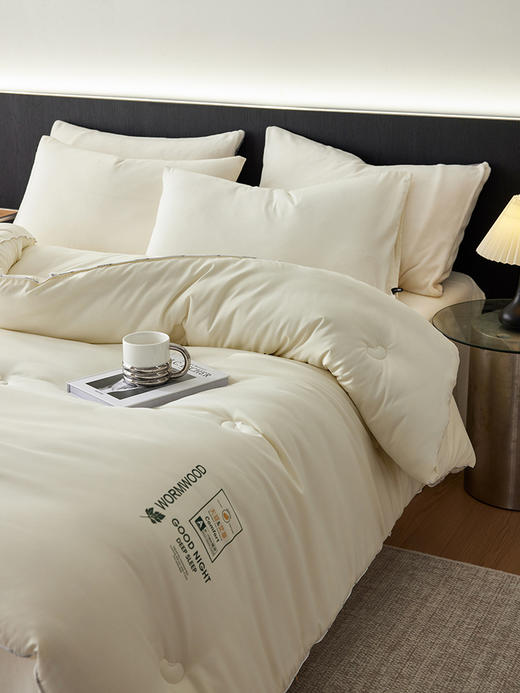 【升级艾草大豆被 温暖过冬】软糯亲肤好触感，舒适轻软不压身，锁温保暖，睡个美容觉～ 商品图0