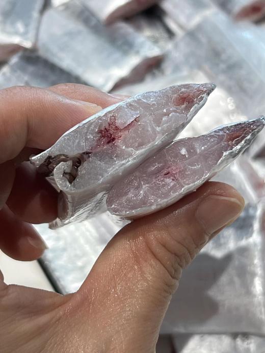 猫太推荐---大规格，单条5-6两❗️贝司令舟山海钓野生带鱼89/5条❗️ 商品图4