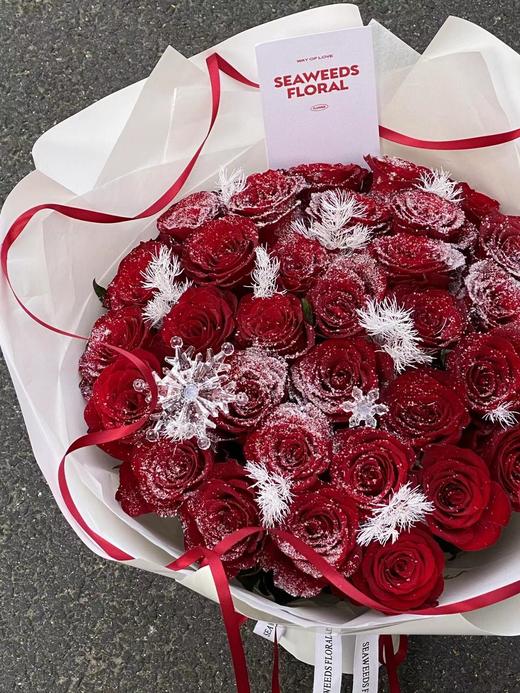 【细雪/粗雪】圣诞喷雪280ml 商品图3