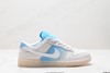 耐克NIKE DUNK LOW RETRO低帮休闲运动板鞋HQ3621-133男女鞋 商品缩略图0