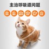 普安特 盐酸多西 弗诺多 猫鼻支呼吸系统 商品缩略图1