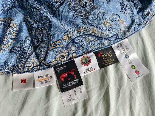 【新品福利】故宫联名款 塞纳河畔红嘴雁鸭羽绒被  被子 冬被 央企苏美达家纺绎生活 商品图5