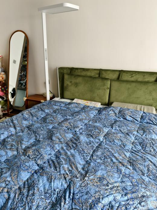 【新品福利】故宫联名款 塞纳河畔红嘴雁鸭羽绒被  被子 冬被 央企苏美达家纺绎生活 商品图2