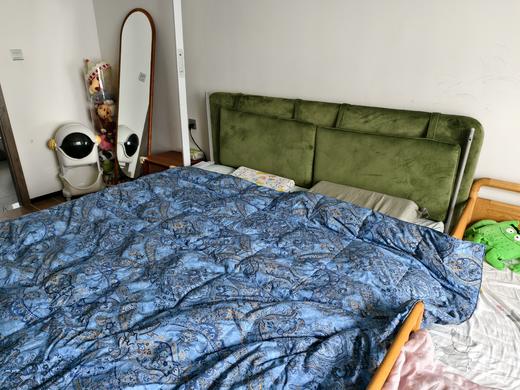 【新品福利】故宫联名款 塞纳河畔红嘴雁鸭羽绒被  被子 冬被 央企苏美达家纺绎生活 商品图8