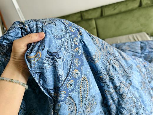 【新品福利】故宫联名款 塞纳河畔红嘴雁鸭羽绒被  被子 冬被 央企苏美达家纺绎生活 商品图1