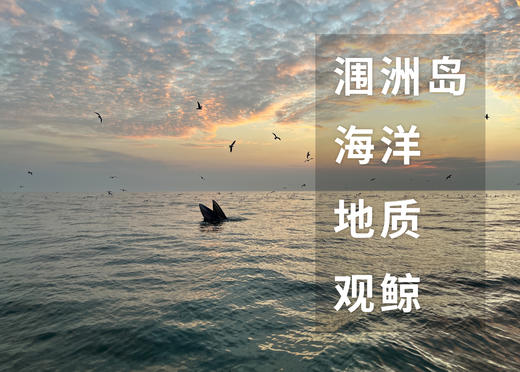 涠洲岛研学 商品图0