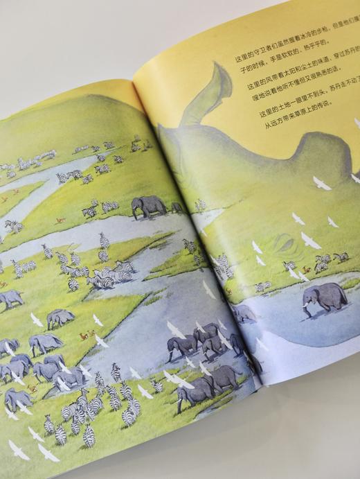 苏丹的犀角 商品图2