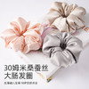 💰29抢章小蕙、刘亦菲的养发秘诀！【30姆米重磅SLIP真丝发圈】一边睡觉一边护发💕甄选6A级桑蚕丝❗️头发无静电 不打结、被压断，隔天还能get自然波浪卷发👩🦱 商品缩略图4