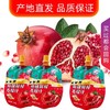 【严选】新疆域疆源鲜榨石榴汁礼盒装 10袋/118g 商品缩略图1