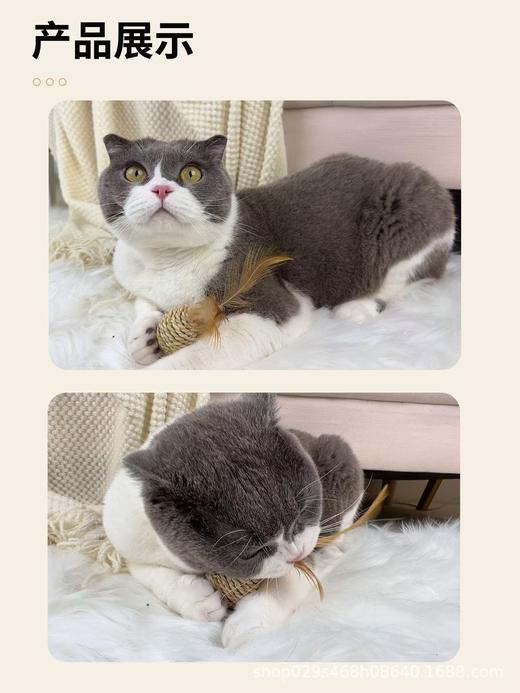 皮皮淘羽毛藤条球猫玩具 植物草编响铃双球1/套 商品图3