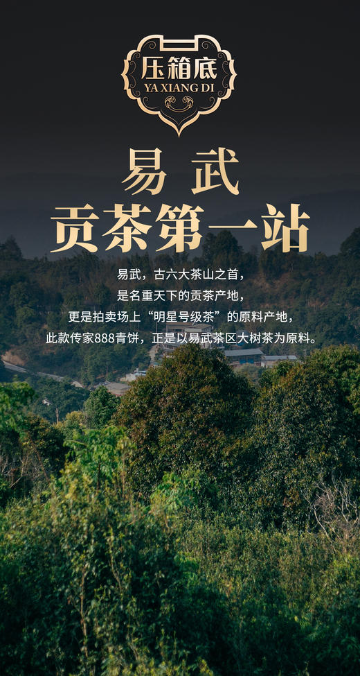 压箱底传家普洱茶 888青饼 2017易武大树普洱生茶 饼茶 350克/饼 商品图3