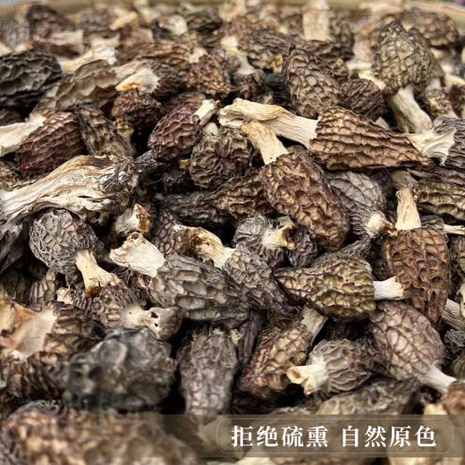 【野生羊肚菌干货】西藏林芝波密野生羊肚菌干货50g 商品图4