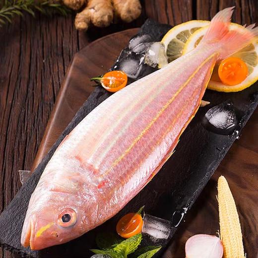 金线鱼 2条/袋 | 深海野生海钓海鲜 商品图1