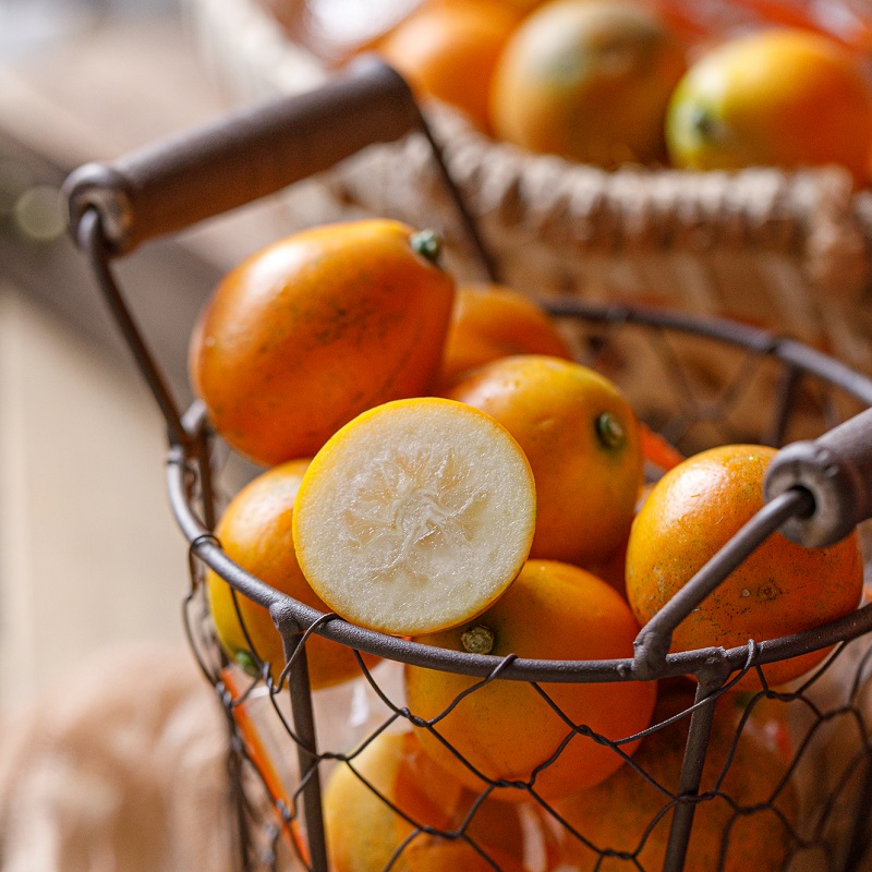 {积分兑换}脆蜜金桔1.5斤装（特大果，约20颗） 一箱