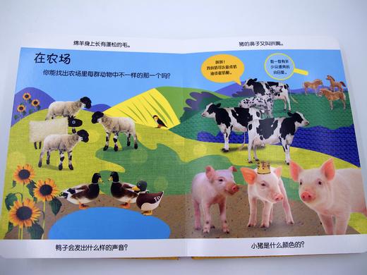 DK幼儿观察力、注意力、思维力系列《动物》汉英对照 商品图5