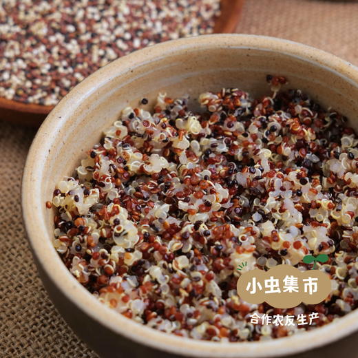 高原生态三色藜麦（2025年新收）1袋/2袋 | 合作农友生产，产自云南香格里拉，生产者：李忠青 &【公平贸易农人定价】 商品图4