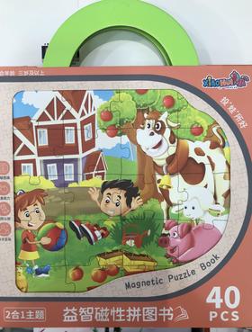 【已绝版】磁性拼（联盟）