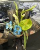 「午夜蓝」郁金香绿掌剑兰混搭花束（需提前一天预定） 商品缩略图0