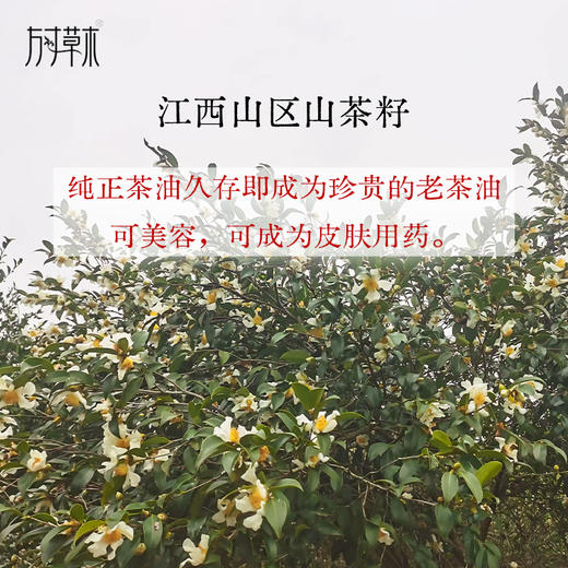 「自种自榨茶油500ml/瓶」 商品图1