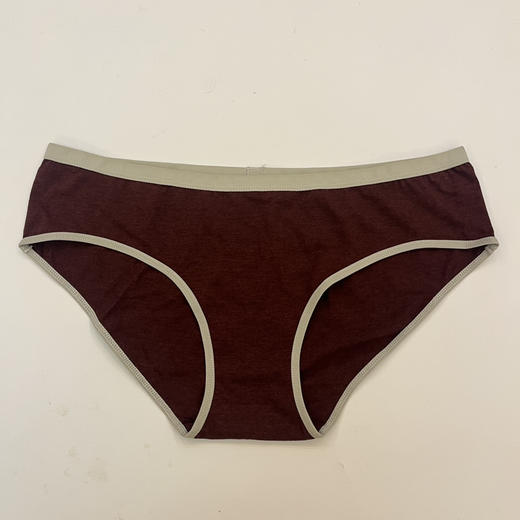 全新上架！超稀有！Icebreaker同源女士美利奴羊毛三角裤 商品图3