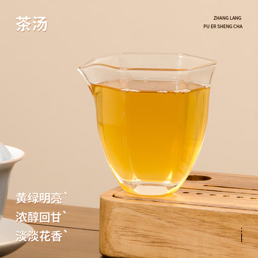 生茶云南普洱茶-2022年章朗普洱生茶200克饼 商品图2