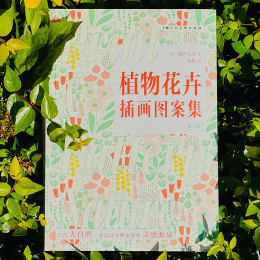 植物花卉插画图案集 第2版 商品图3