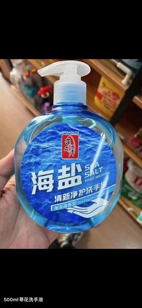 办公用品 蒂花之秀洗手液（普）