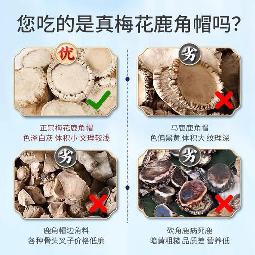 梅花鹿角帽粉3g*10瓶  吉林鹿乡直发 商品图3