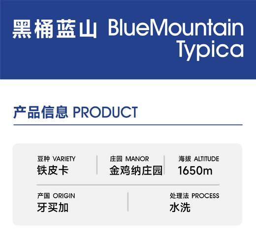 生豆｜黑桶蓝山一号｜水洗 铁皮卡 商品图0