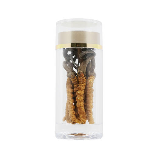 神象 冬虫夏草3克瓶礼盒 西藏那曲非人工虫草 商品图6