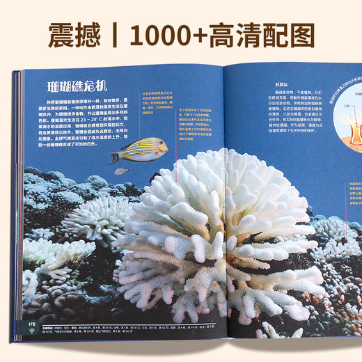 【青葫芦】【精美礼盒版】大英儿童百科全书  小学生十万个为什么少儿科普阅读书籍 商品图3