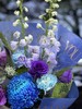 「蓝色星河」牡丹菊大飞燕郁金香混搭花束（需提前一天预定） 商品缩略图3