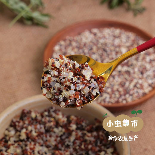 高原生态三色藜麦（2025年新收）1袋/2袋 | 合作农友生产，产自云南香格里拉，生产者：李忠青 &【公平贸易农人定价】 商品图1