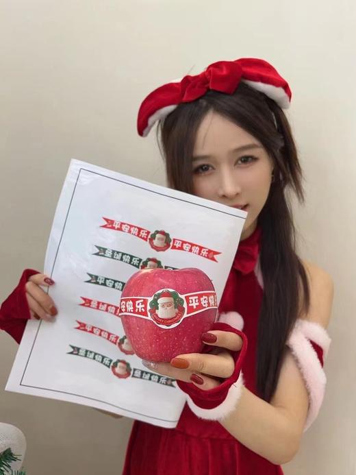 【上新】圣诞节彩条贴纸（1包/100条） 商品图1