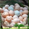 大凉山松针蛋（富硒） 30枚装 商品缩略图2