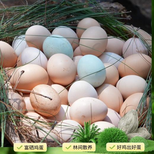 大凉山松针蛋（富硒） 30枚装 商品图2