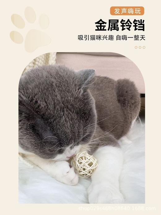 皮皮淘羽毛藤条球猫玩具 植物草编响铃双球1/套 商品图4