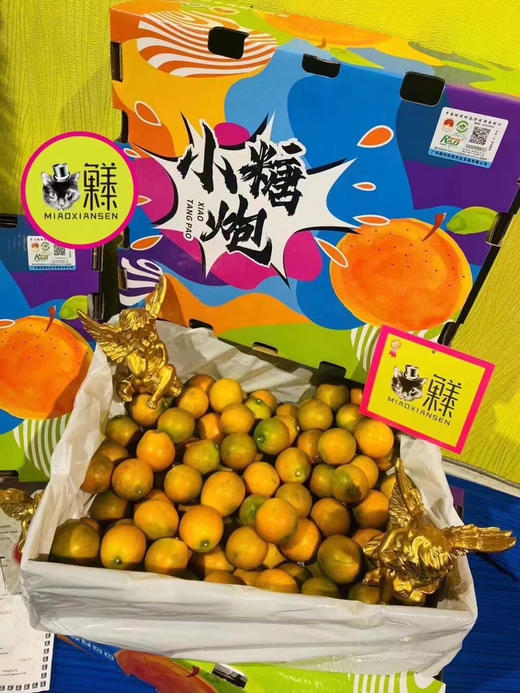 💝小糖炮【3A脆蜜金柑】2kg一箱 商品图6
