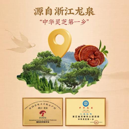 KJ 许广和中华老字号 破壁孢子粉 正品增强免疫力1g*30袋/盒 商品图2