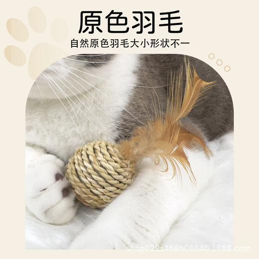 皮皮淘羽毛藤条球猫玩具 植物草编响铃双球1/套 商品图2