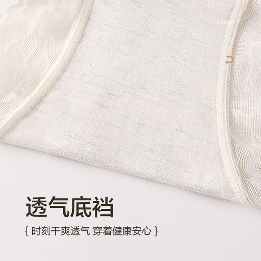 玻色因花魁女神裤（3条装） 商品图4