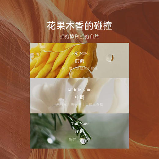 四季礼盒 | 秋然礼盒香氛 无火藤条挥发香薰蜡烛礼盒生日礼物婚礼伴手礼 商品图5