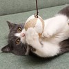 木杆逗猫棒 新款猫咪互动益智宠物玩具 天然木质逗猫杆逗猫球1/个 商品缩略图2
