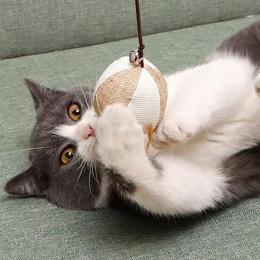 木杆逗猫棒 新款猫咪互动益智宠物玩具 天然木质逗猫杆逗猫球1/个 商品图2