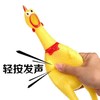 宠物玩具 狗狗发声玩具 小号16cm尖叫鸡磨牙搪胶鸡/只 商品缩略图2