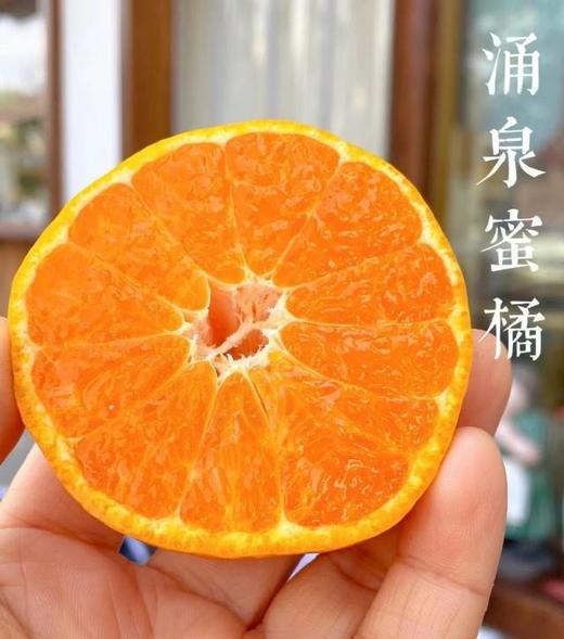 【临海涌泉蜜橘】核心产区，皮薄多汁，果肉细腻香甜 商品图0