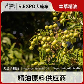 无患子精油 单方精油原料批发芳疗护理调香香薰CO2萃取大篷车精油