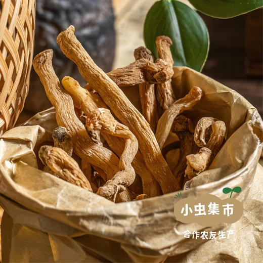 瑶山野生玉竹 250g/袋（秋冬季新加工）| 合作农友生产，来自广东连南瑶族自治县，生产者：张运东 ＆【公平贸易农人定价】 商品图2