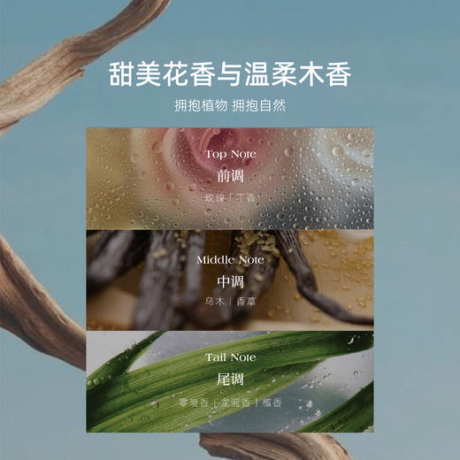 四季礼盒 | 冬藏礼盒香氛 无火藤条挥发香薰蜡烛礼盒生日礼物婚礼伴手礼 商品图5