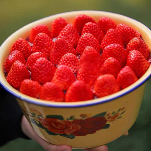 一“盆”草莓奶油蛋糕 商品图1